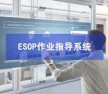 ESOP作业指导书系统